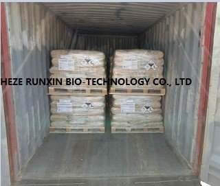 25KG BAG